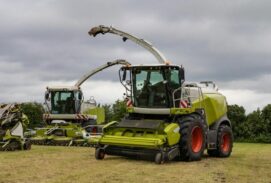 pexels-mirkofabian-12495823