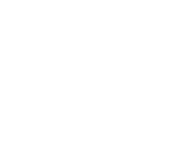 logo_texas_white_Transparent2