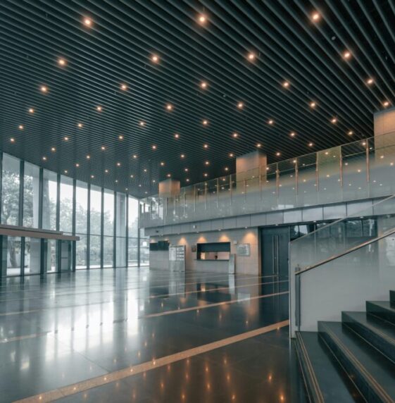 pexels-artosuraj-36286291